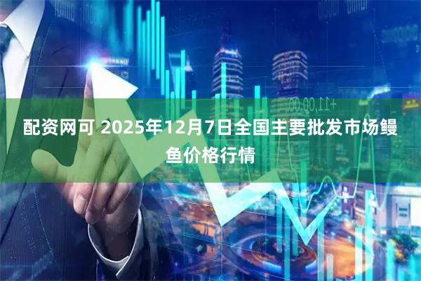 配资网可 2025年12月7日全国主要批发市场鳗鱼价格行情
