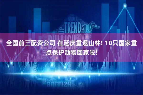全国前三配资公司 在延庆重返山林! 10只国家重点保护动物回家啦!